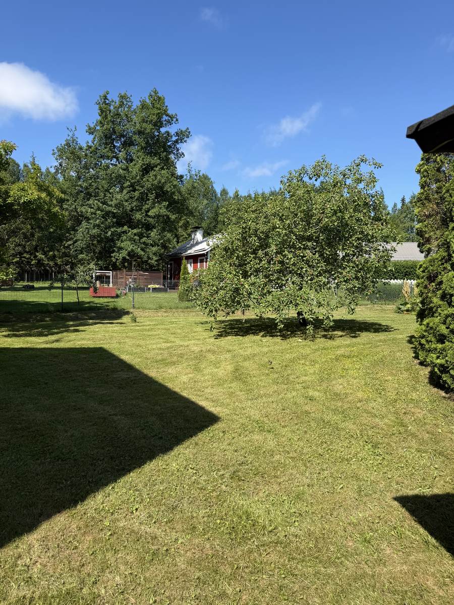 Siistiksi leikattu nurmikko omenapuun ja pihan ympärillä Espoossa