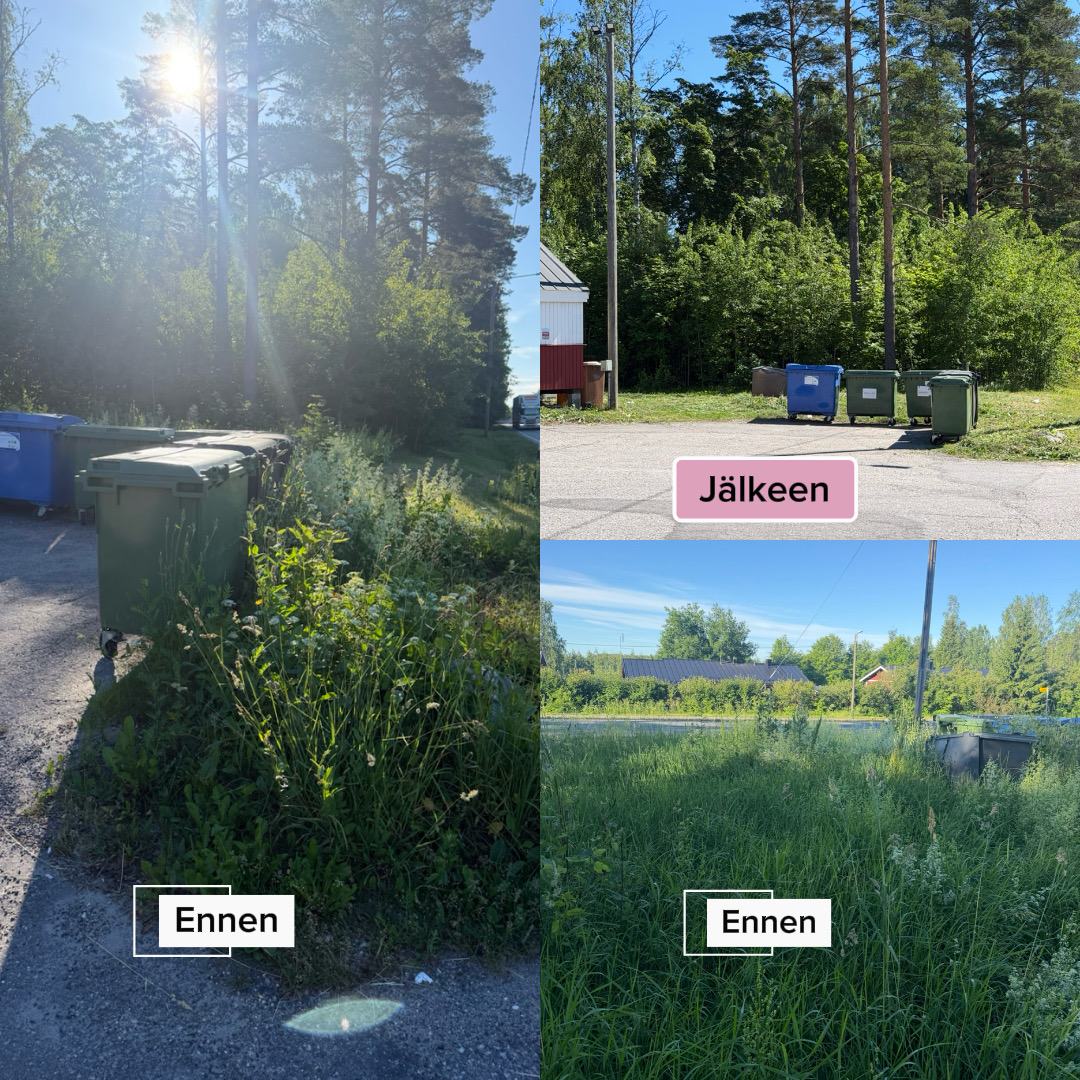 Nurmikon niitto, haravointi, roska-astioiden hoito ja jätteiden vienti ennen ja jälkeen: pitkä heinikko niitettynä ja jäteastiat esteettömästi saavutettavissa