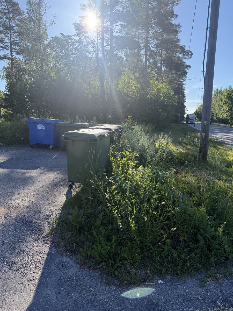 Villiintynyt kasvillisuus ja pitkä heinikko tienvarressa ennen pensasaidan leikkausta Espoossa