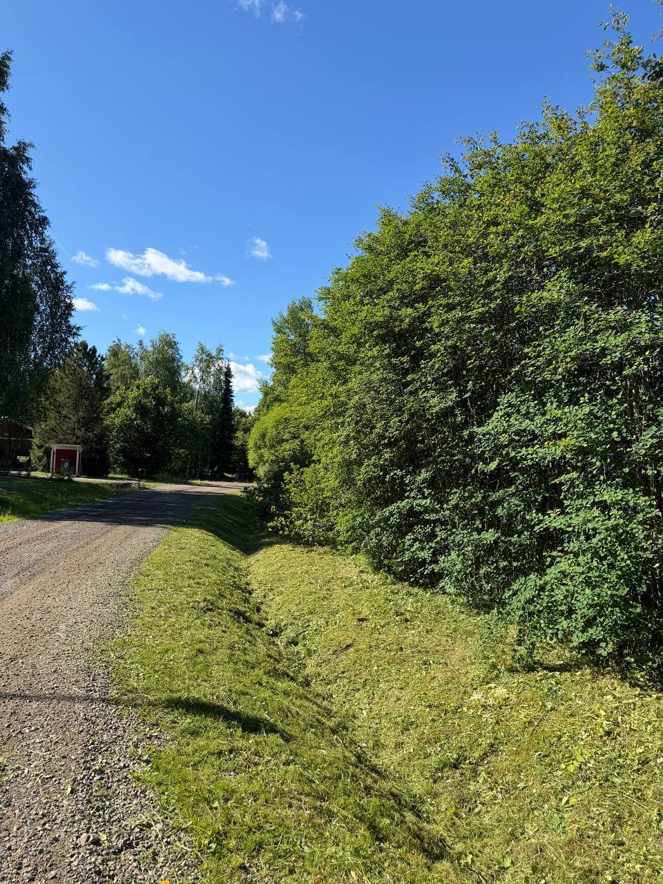 Siistiksi niitetty piennar yksityistien varrella Espoossa
